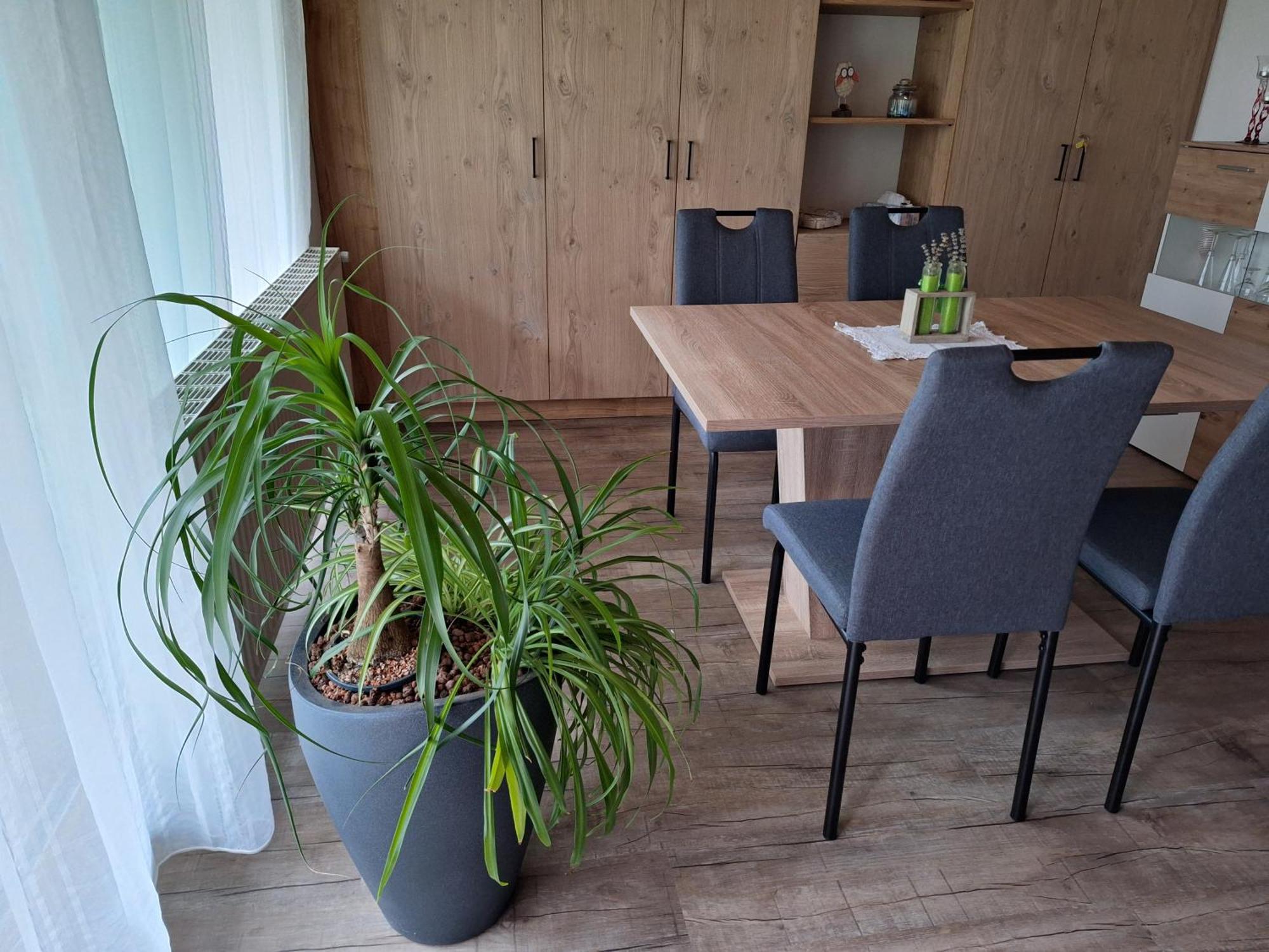Apartment Eva Sautens Zewnętrze zdjęcie